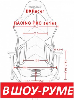   DXRACER RACING PRO R131
