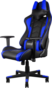 Профессиональное игровое кресло ThunderX3 TGC-22